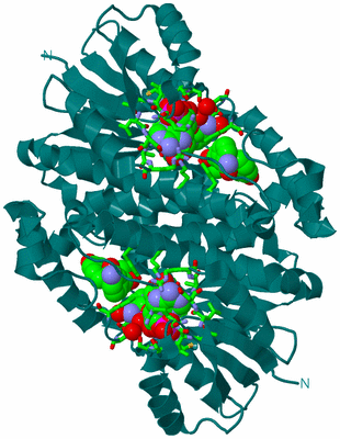 Image Biol. Unit 1 - sites