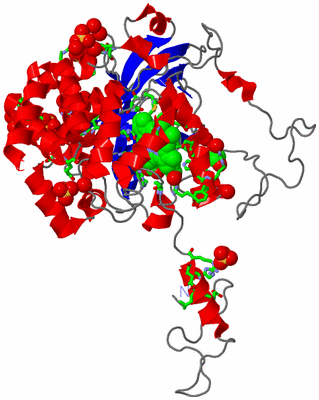 Image Asym. Unit - sites