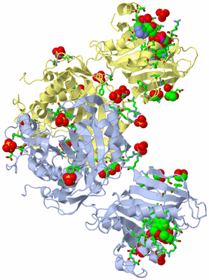 Image Biol. Unit 1 - sites