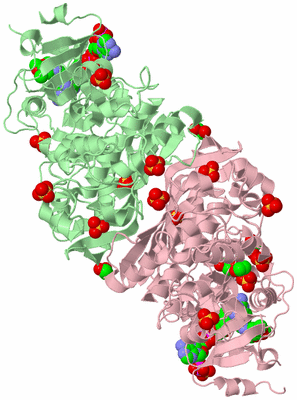 Image Biological Unit 2