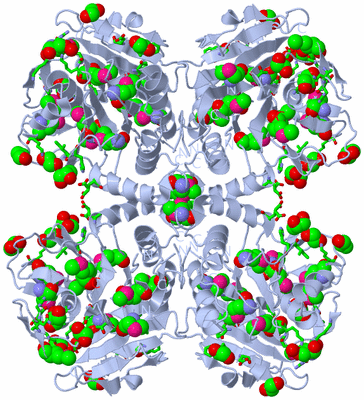 Image Biol. Unit 1 - sites