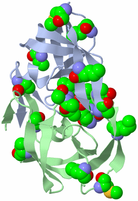 Image Biological Unit 3