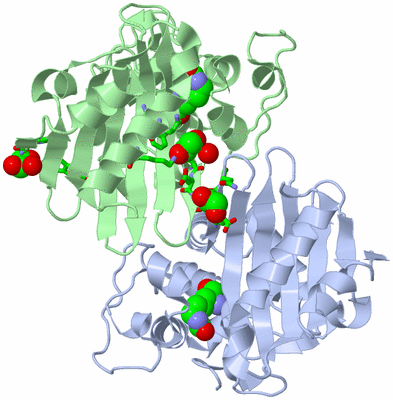 Image Biol. Unit 1 - sites