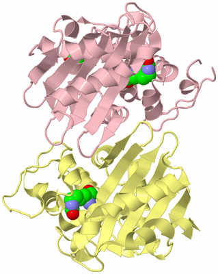 Image Biological Unit 2