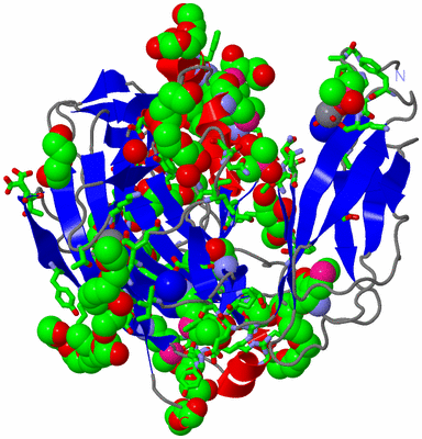 Image Asym./Biol. Unit - sites