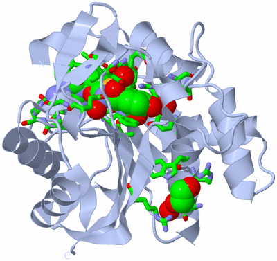 Image Biol. Unit 1 - sites