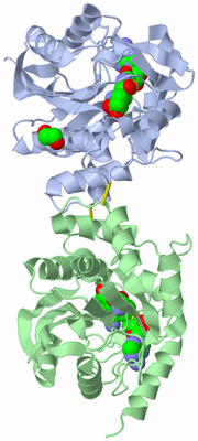 Image Biological Unit 3