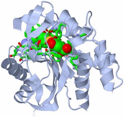 Image Biol. Unit 1 - sites