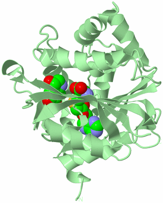 Image Biological Unit 2