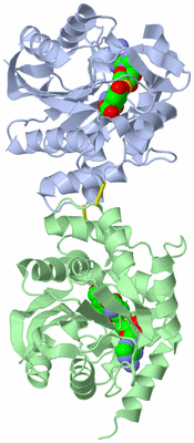 Image Biological Unit 3