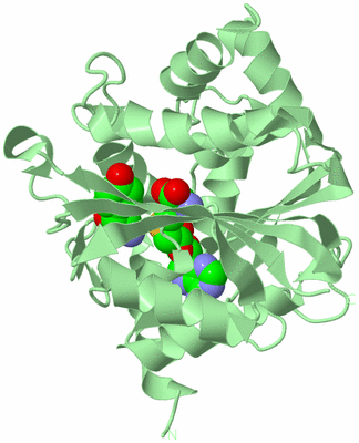 Image Biological Unit 2