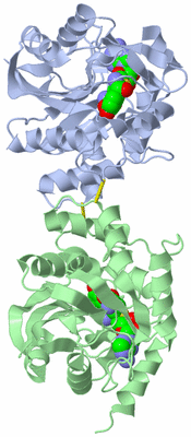 Image Biological Unit 3