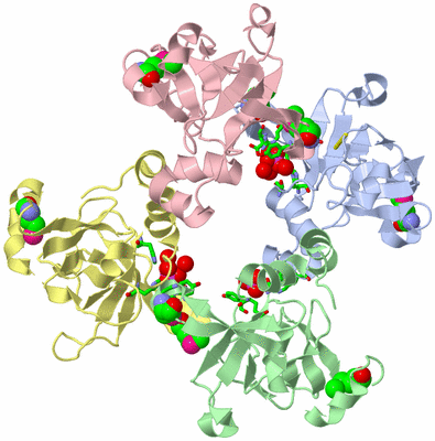 Image Asym./Biol. Unit - sites