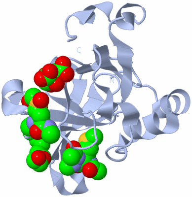 Image Biological Unit 1