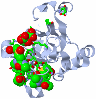 Image Biol. Unit 1 - sites