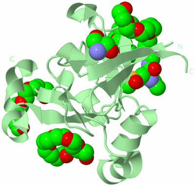 Image Biological Unit 2