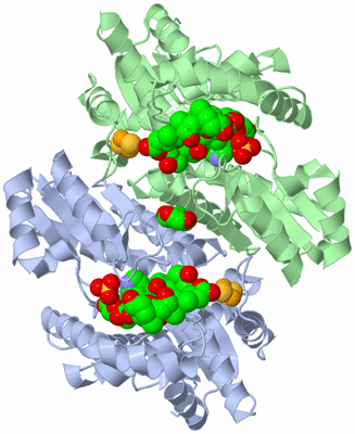 Image Asym./Biol. Unit