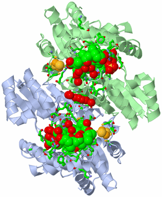 Image Asym./Biol. Unit - sites