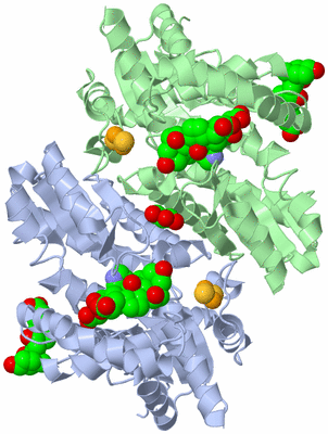 Image Asym./Biol. Unit