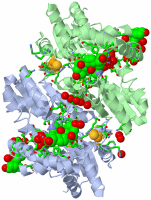 Image Asym./Biol. Unit - sites