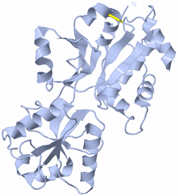 Image Biological Unit 1