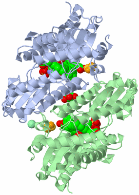 Image Asym./Biol. Unit