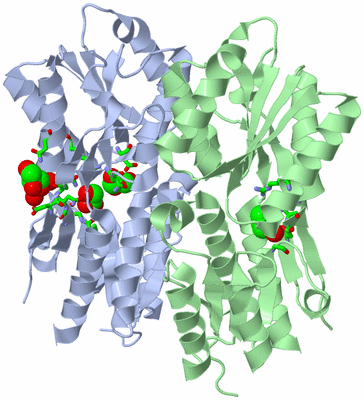 Image Asym./Biol. Unit - sites