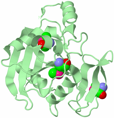 Image Biological Unit 2