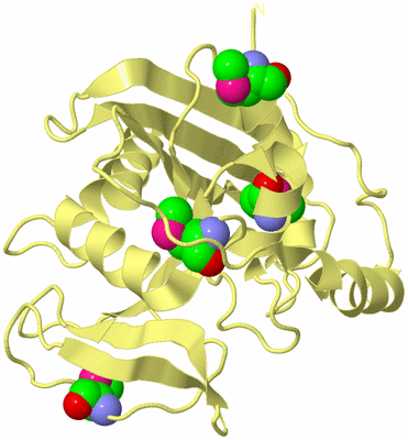 Image Biological Unit 3