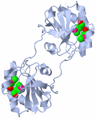 Image Biological Unit 1