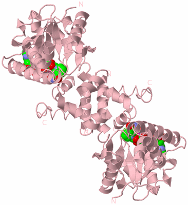 Image Biological Unit 2