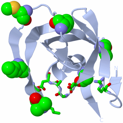 Image Biol. Unit 1 - sites