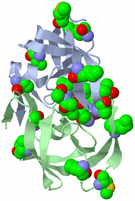 Image Biological Unit 3