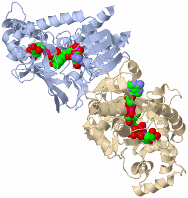 Image Biological Unit 1