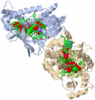 Image Biol. Unit 1 - sites