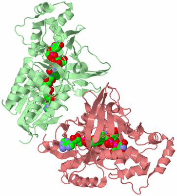 Image Biological Unit 2