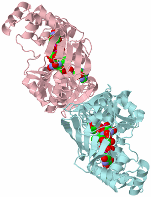 Image Biological Unit 3