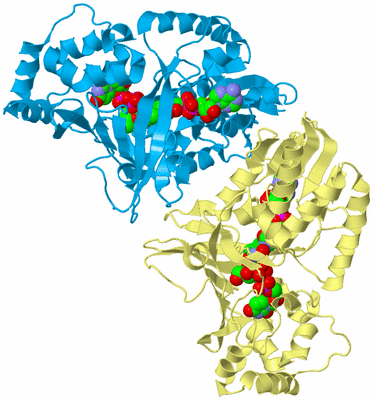 Image Biological Unit 4