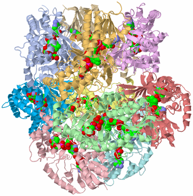 Image Biological Unit 6