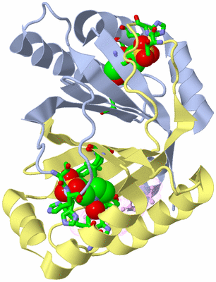 Image Biol. Unit 1 - sites