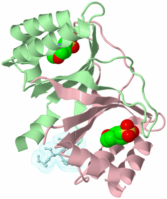 Image Biological Unit 2