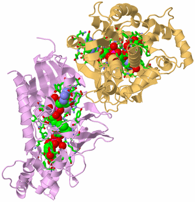 Image Biol. Unit 1 - sites