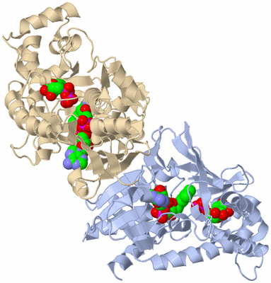 Image Biological Unit 2