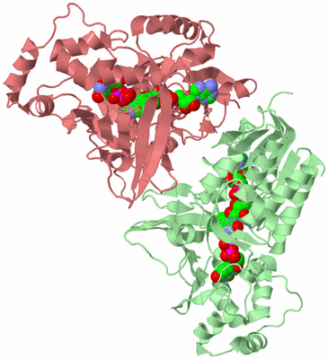 Image Biological Unit 3