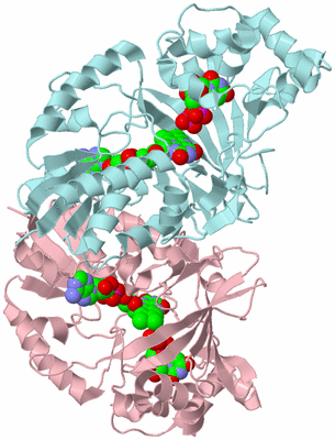 Image Biological Unit 4