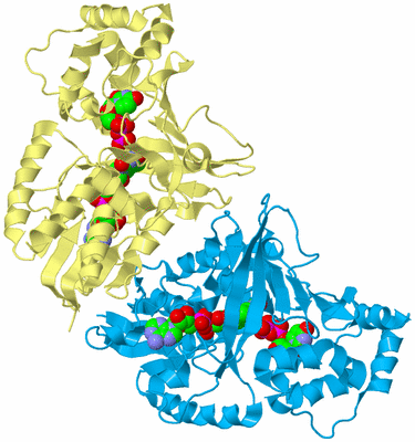 Image Biological Unit 5