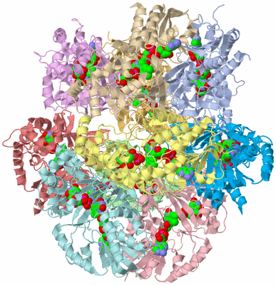 Image Biological Unit 6