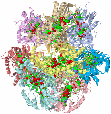 Image Asym. Unit - sites