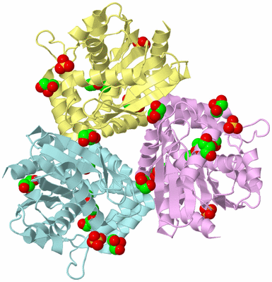 Image Biological Unit 2