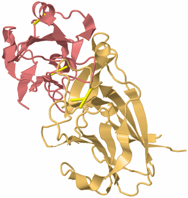 Image Biological Unit 4